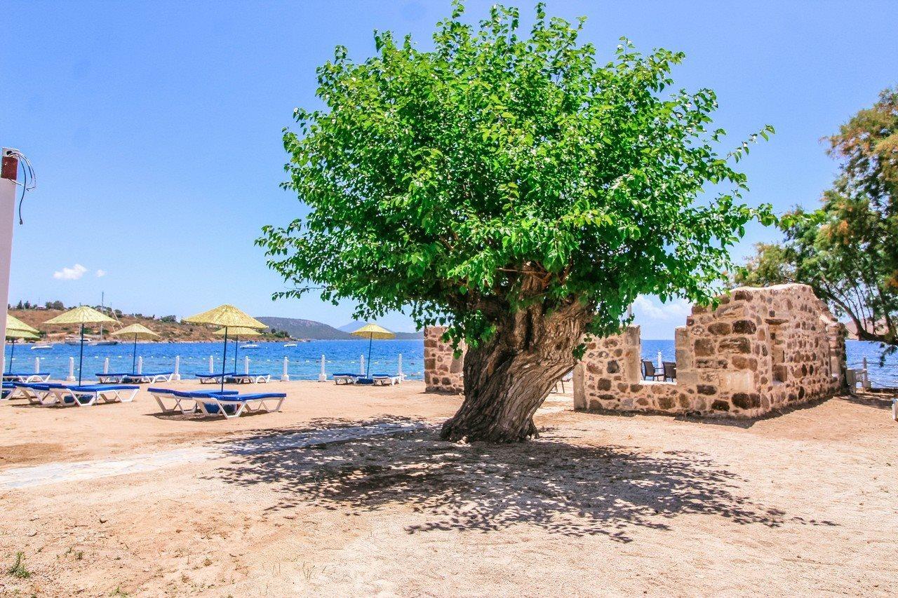 Club Muskebi Hotel Bodrum Luaran gambar
