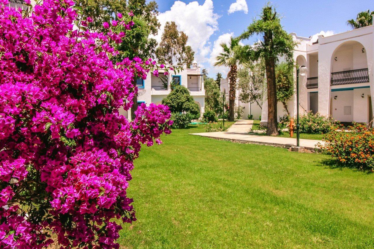 Club Muskebi Hotel Bodrum Luaran gambar