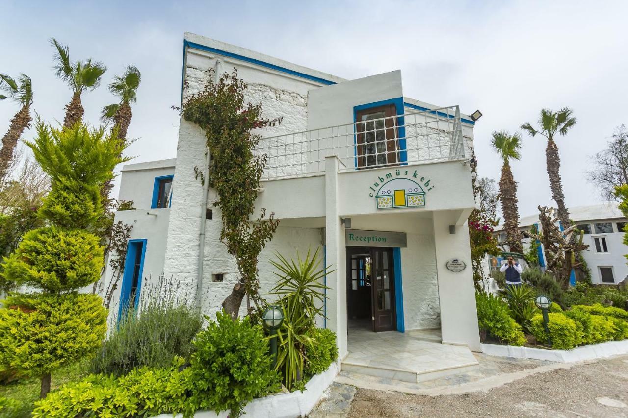 Club Muskebi Hotel Bodrum Luaran gambar